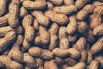 Close-up texture of raw peanuts in shells