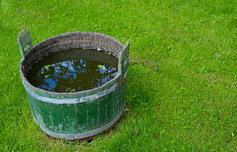 Old green wooden water trough on grass