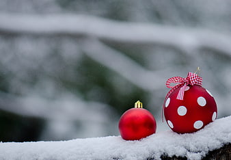 Red Christmas Ornaments on Snowy Branch in Winter