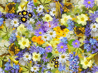 Vibrant Spring Flower Collage with Daisies, Crocuses, and Hyacinths