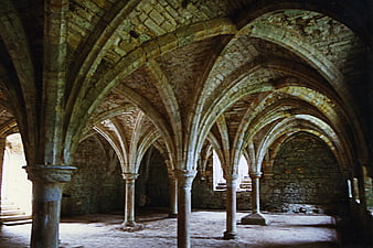 Gothic vaulted ceiling and stone columns in Battle Abbey ruins