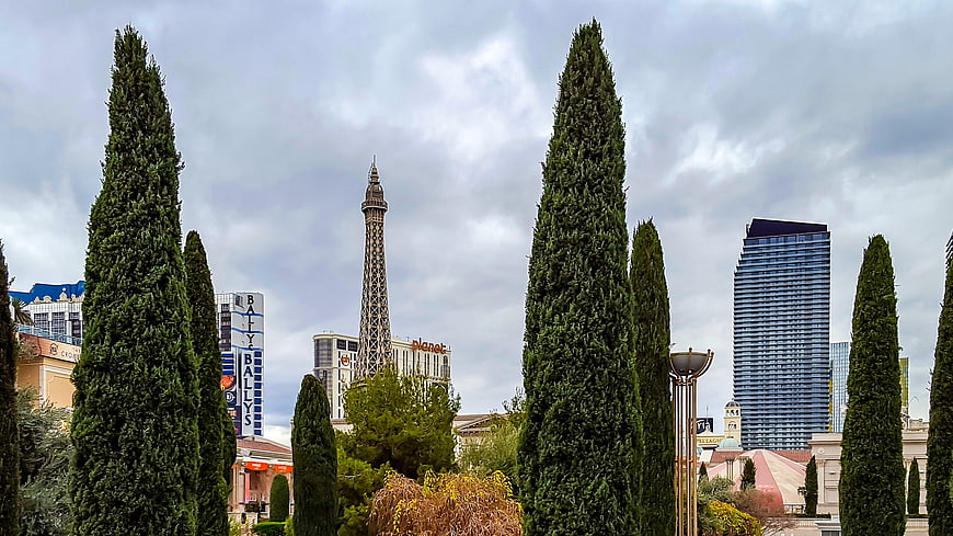 Las Vegas Strip Skyline with Eiffel Tower Replica and Cypress Trees