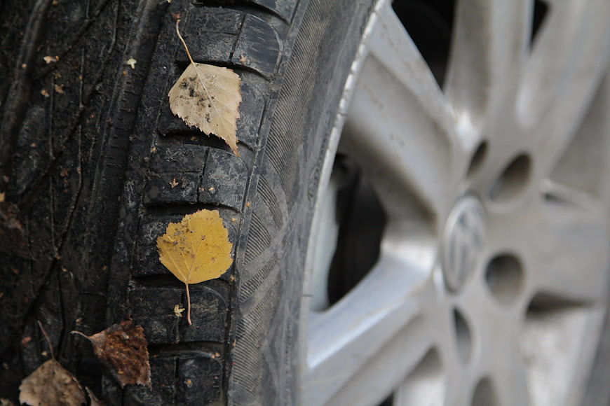 Close-up of car tire with autumn leaves in treads