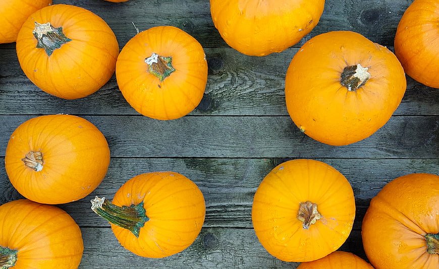 Top view of fresh orange pumpkins on rustic wooden background
