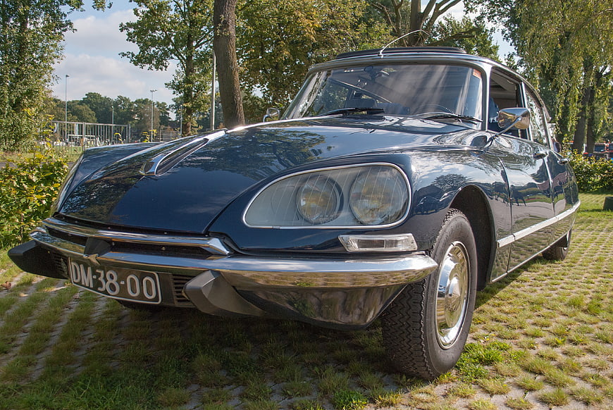 Classic Blue Citroën DS Wagon Parked on Grass