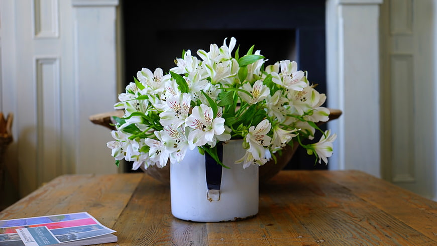 White Alstroemeria Flowers in Vintage Milk Can on Wooden Table