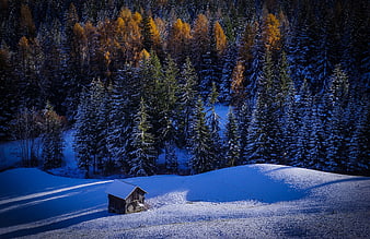 Solitary wooden cabin in snowy winter forest landscape
