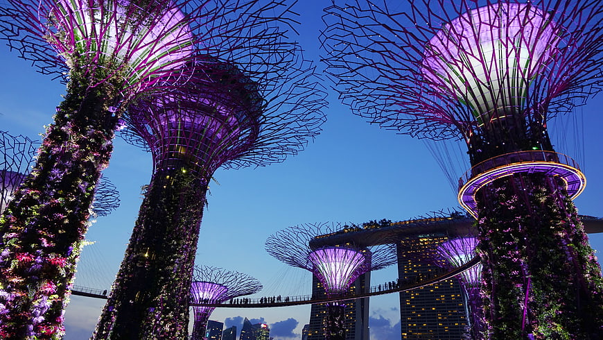 Gardens by the Bay Supertree Grove at Night Singapore