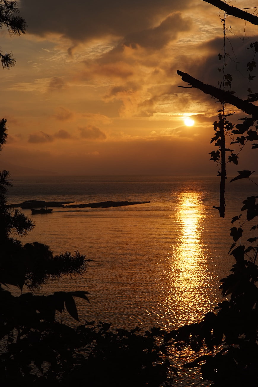 Golden Sunset Over Ocean With Silhouetted Trees