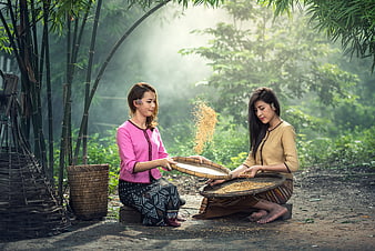 Two Asian Women Winnowing Rice in Bamboo Forest