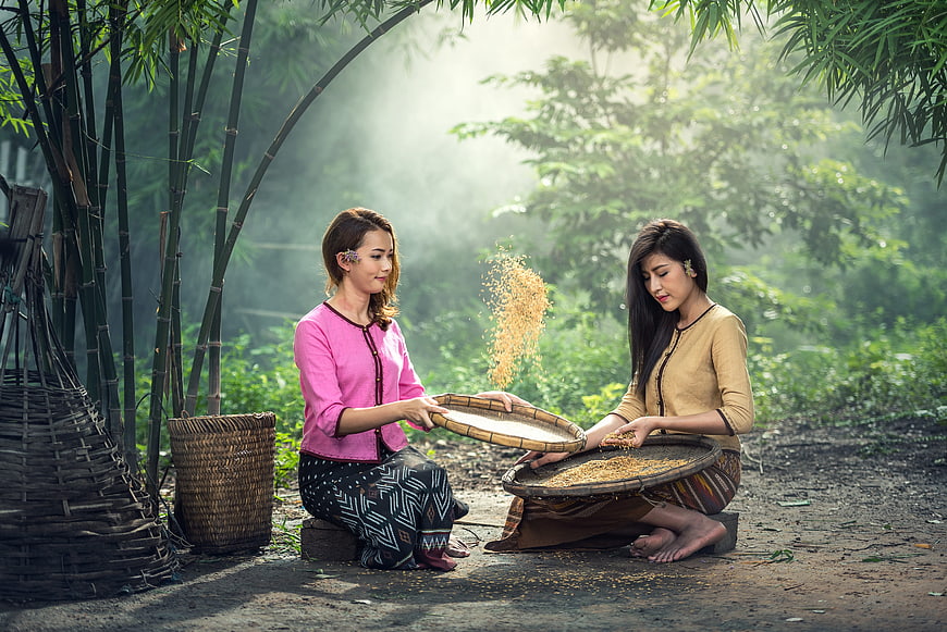 Two Asian Women Winnowing Rice in Bamboo Forest
