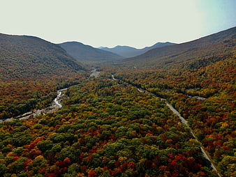 Aerial View of Colorful Autumn Forest Valley with Winding Road