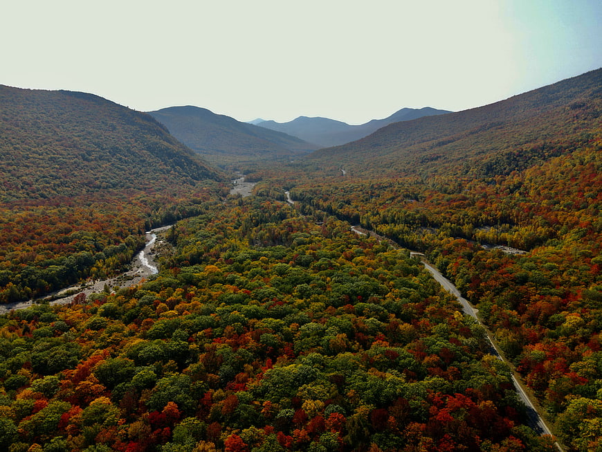 Aerial View of Colorful Autumn Forest Valley with Winding Road