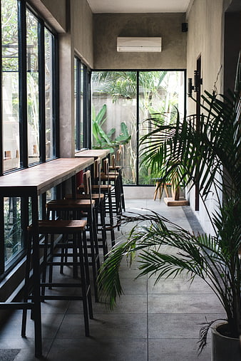 Modern minimalist cafe interior with large windows and plants