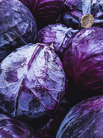 Close-up of Fresh Red Cabbages with Purple Leaves
