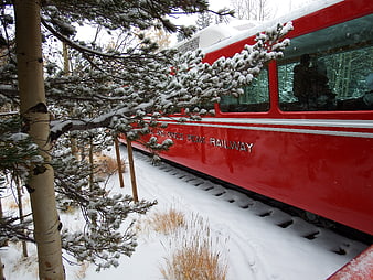 Red Pikes Peak Railway Train in Snowy Forest