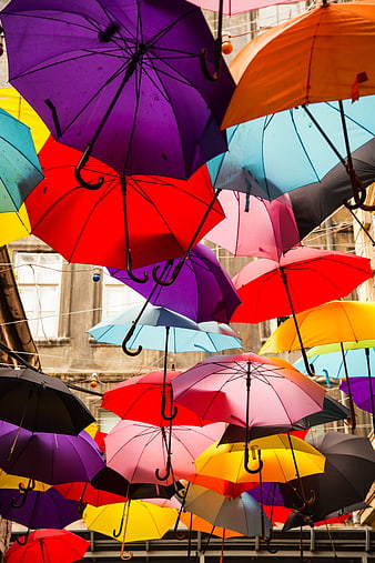 Colorful Umbrellas Hanging Above Urban Street