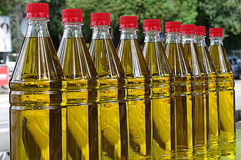 Row of plastic bottles filled with golden olive oil