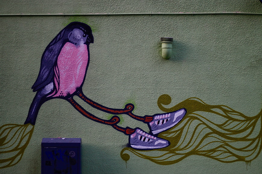 Colorful street art mural of bird with sneakers