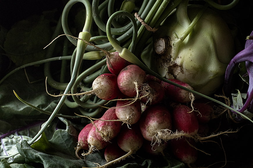 Fresh Harvest of Radishes, Kohlrabi, and Kale