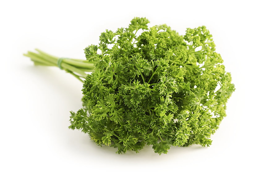 Fresh Curly Parsley Bunch on White Background
