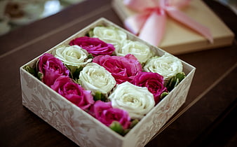 Pink and White Roses in Decorative Gift Box