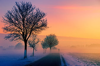 Frosty Winter Road at Dawn with Silhouette Trees and Jogger