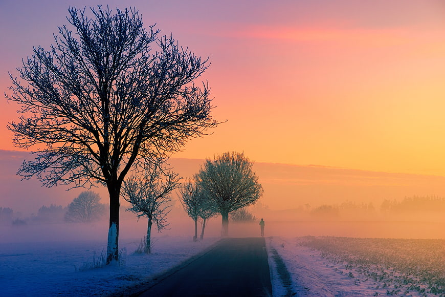 Frosty Winter Road at Dawn with Silhouette Trees and Jogger