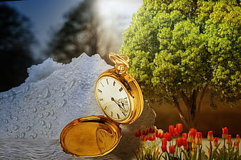 Golden pocket watch on ice with tulips and tree
