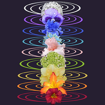 Vertical Chakra Flower Arrangement With Rainbow Concentric Circles