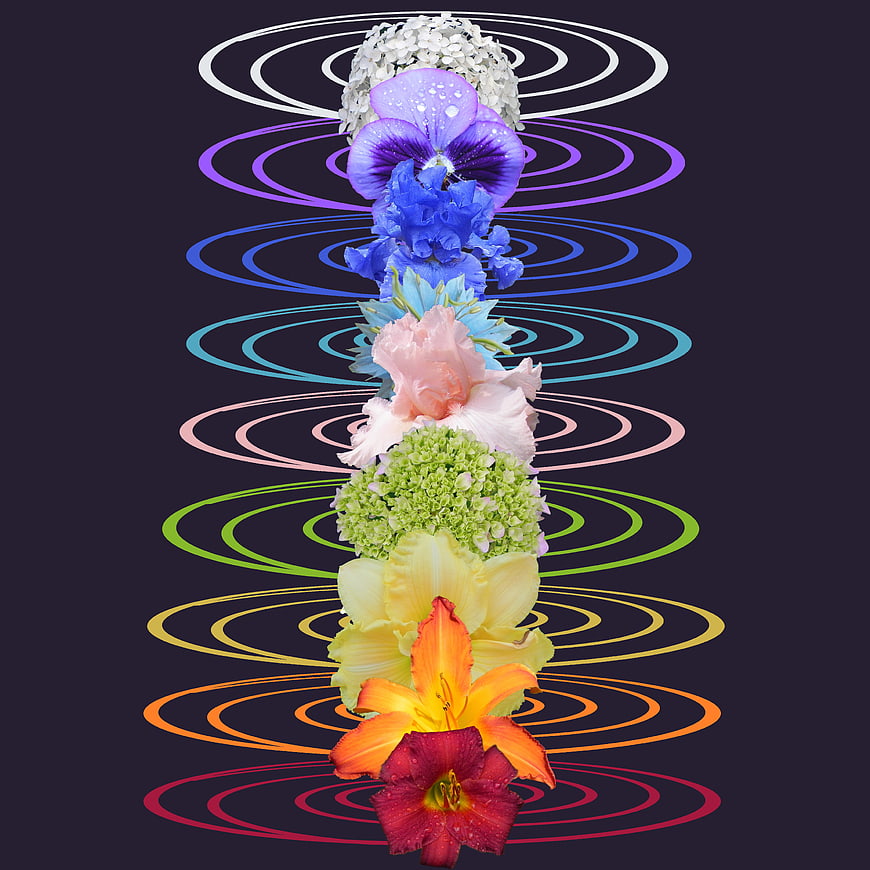 Vertical Chakra Flower Arrangement With Rainbow Concentric Circles