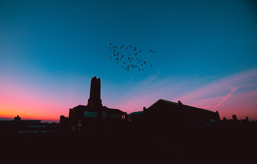 Silhouette of church and flock of birds against colorful sunset sky