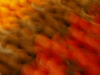 Abstract In-Camera Motion Blur of Market Fruits