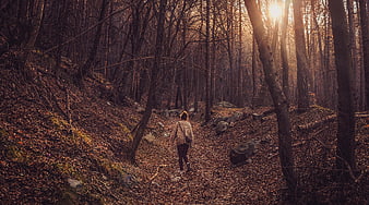 Woman Hiking on Forest Trail in Autumn Sunset