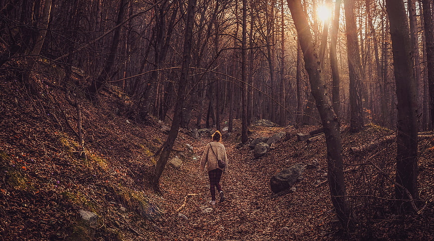Woman Hiking on Forest Trail in Autumn Sunset