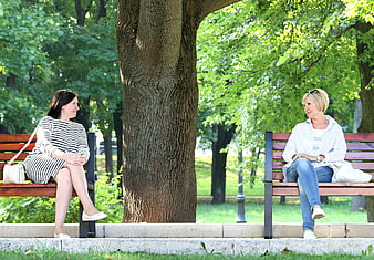 Two women talking on park benches separated by a large tree