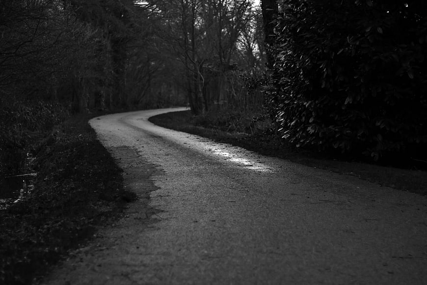 Winding black and white road through dark forest path