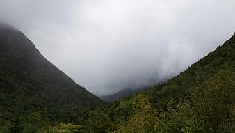 Misty Mountain Valley with Dense Green Forest