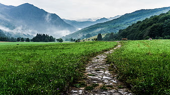 Misty Mountain Valley with Stone Path and Green Meadow