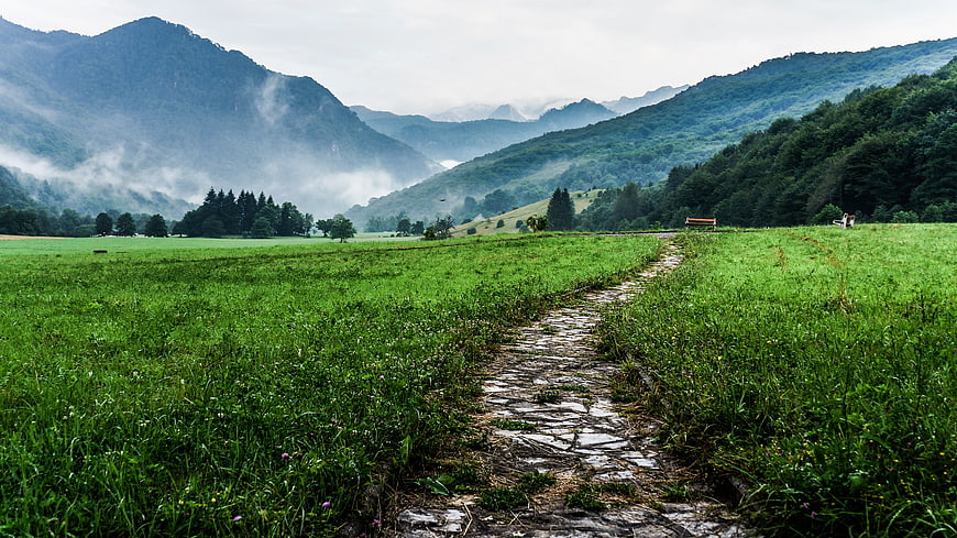 Misty Mountain Valley with Stone Path and Green Meadow
