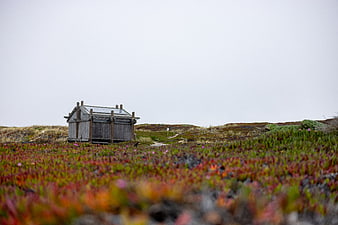 Rustic wooden cabin in autumn tundra landscape
