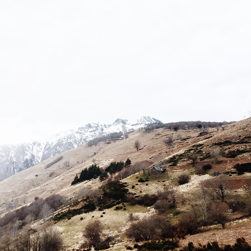 Snow-capped mountain range with dry grassy slopes and trees