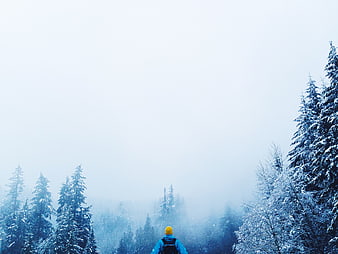 Lone Hiker in Snowy Pine Forest with Yellow Hat