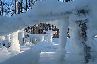 Frozen Ice Formations in Winter Forest Landscape