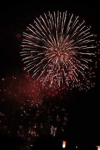 Golden Fireworks Bursting Against Dark Night Sky