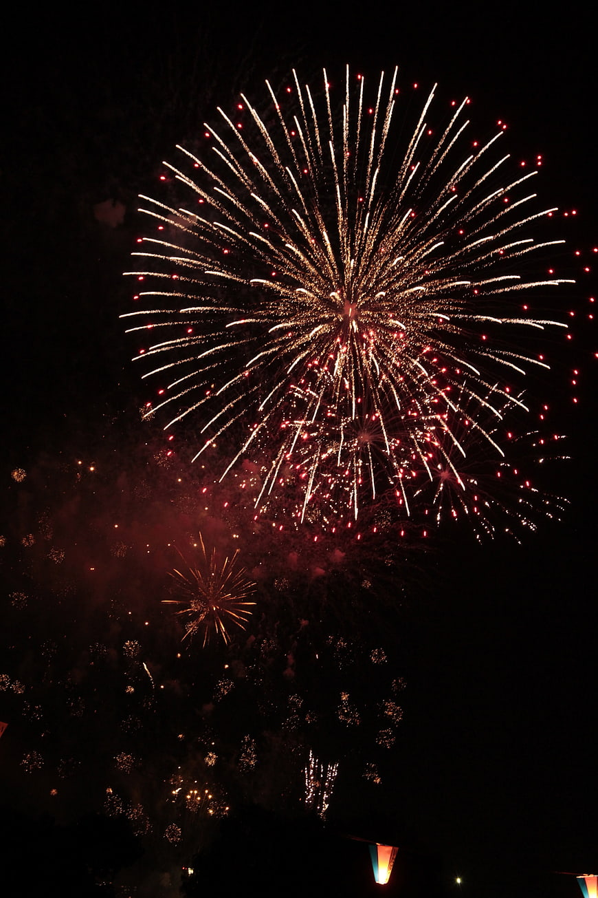 Golden Fireworks Bursting Against Dark Night Sky