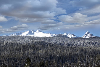 Snow-Covered Mountain Range and Forest Landscape