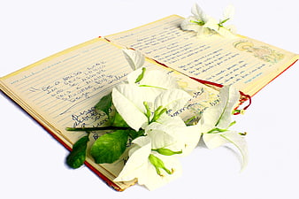 Open handwritten notebook with white flowers on white background