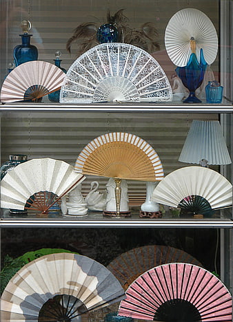Vintage hand fans displayed on glass shelves in a shop window