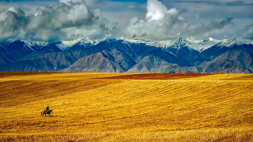Lone Rider on Horseback in Golden Field with Snowy Mountains